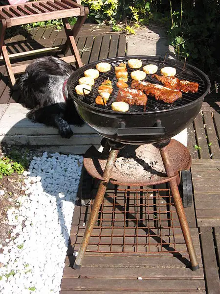 File:Barbeque.jpg