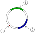 Thumbnail for version as of 02:51, 11 April 2007