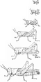 Thumbnail for version as of 20:19, 17 March 2007