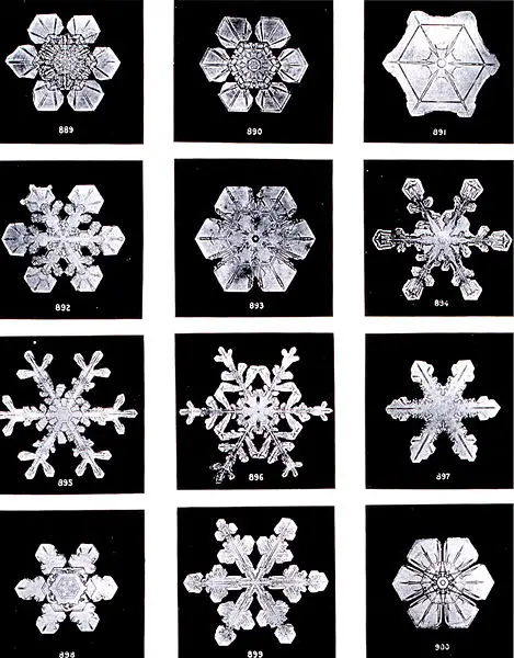 File:SnowflakesWilsonBentley.jpg