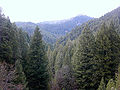 Thumbnail for version as of 14:03, 6 February 2007