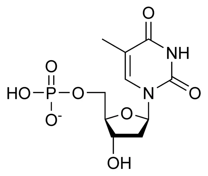 File:DTMP chemical structure.png