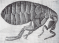 Thumbnail for version as of 04:45, 23 May 2007
