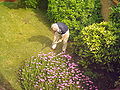 Thumbnail for version as of 14:55, 22 July 2006