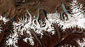 Thumbnail for version as of 20:07, 18 January 2007