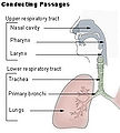 Thumbnail for version as of 00:45, 27 September 2007