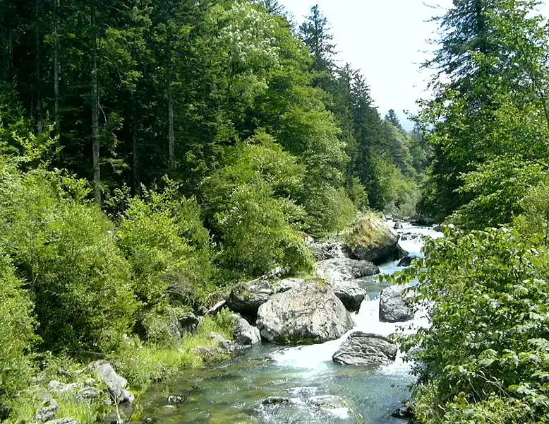 File:Pyrenees summer stream.jpg