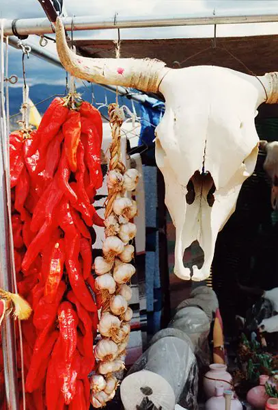 File:Southwestern Chillis and Skull.jpg