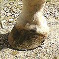 Thumbnail for version as of 13:20, 4 February 2009