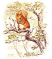 Thumbnail for version as of 03:32, 1 April 2007