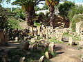 Thumbnail for version as of 19:45, 14 July 2006