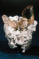 Thumbnail for version as of 02:09, 24 March 2007