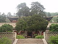 Thumbnail for version as of 17:45, 10 August 2008
