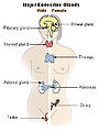 Thumbnail for version as of 22:15, 9 May 2007