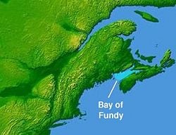 Location of the study area. A) The Fundy Basin and location of the