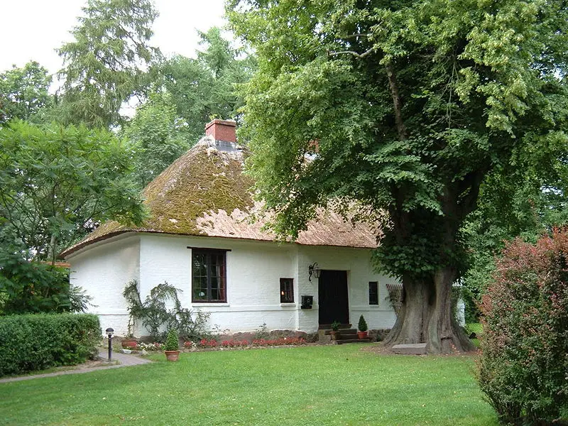 File:Mennokate.jpg