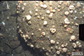 Thumbnail for version as of 02:53, 6 January 2007