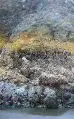 Thumbnail for version as of 22:33, 6 May 2020