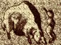 Thumbnail for version as of 17:16, 2 January 2009