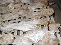 Thumbnail for version as of 20:35, 21 September 2008