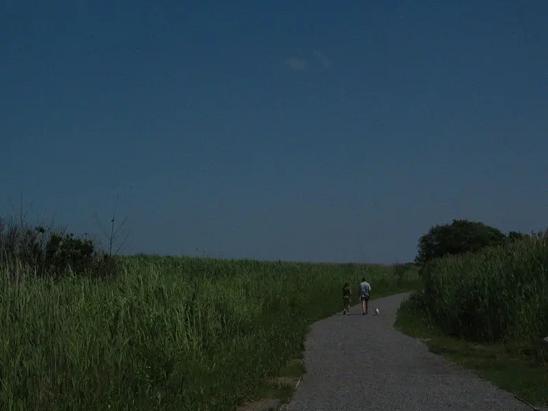 File:SaltMash-Pathway.JPG