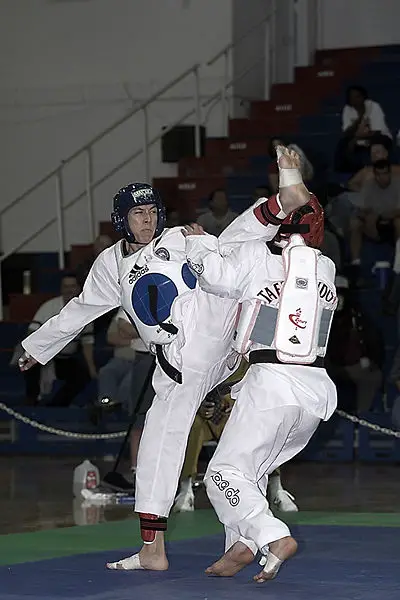 File:Taekwondo Fight 01.jpg