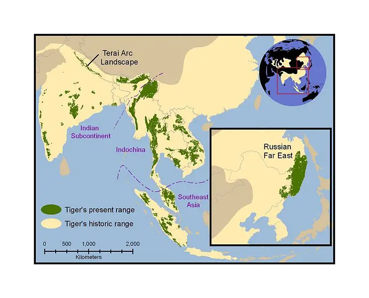 File:Tiger map.jpg