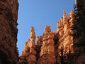 Thumbnail for version as of 03:04, 21 August 2007