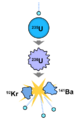 Nuclear fission.svg.png