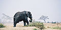 Thumbnail for version as of 02:39, 24 July 2007