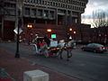 Thumbnail for version as of 03:49, 23 December 2008