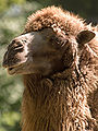 Thumbnail for version as of 00:11, 29 September 2007