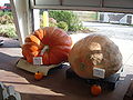 Thumbnail for version as of 23:42, 19 September 2008