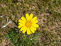 Thumbnail for version as of 03:01, 11 April 2008
