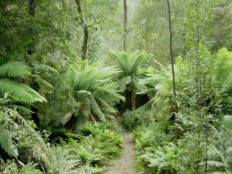 File:Hellyer Gorge, Tasmania.jpg