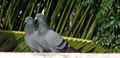 Thumbnail for version as of 02:41, 4 November 2007