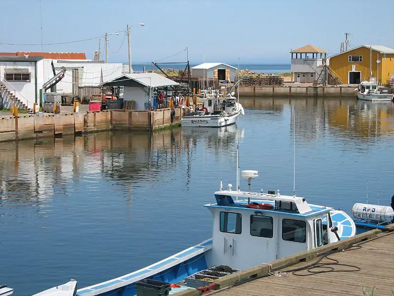 File:Prince edward island fish.jpg