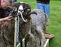 Thumbnail for version as of 19:21, 14 November 2007