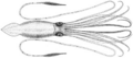 Thumbnail for version as of 01:38, 23 October 2008