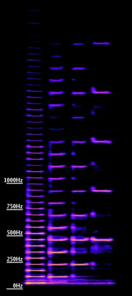 File:Bassoon-octaves-spectrogram.png