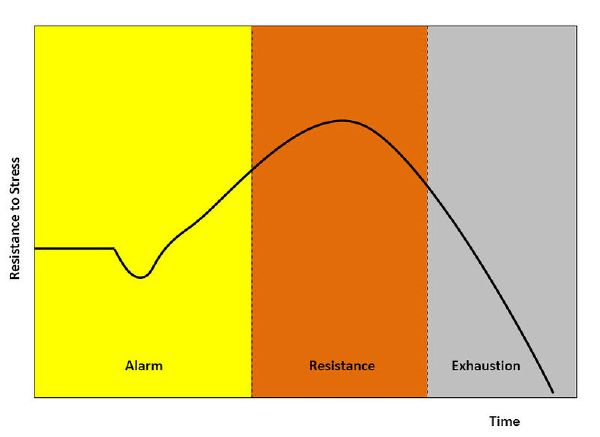 Stress (biology) - New World Encyclopedia