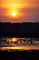 Thumbnail for version as of 05:44, 23 August 2008