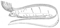Thumbnail for version as of 04:05, 18 November 2006