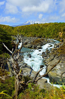 Mahuia River, Tongariro National Park