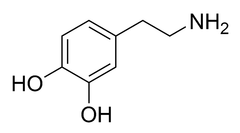 File:Dopamine chemical structure.png