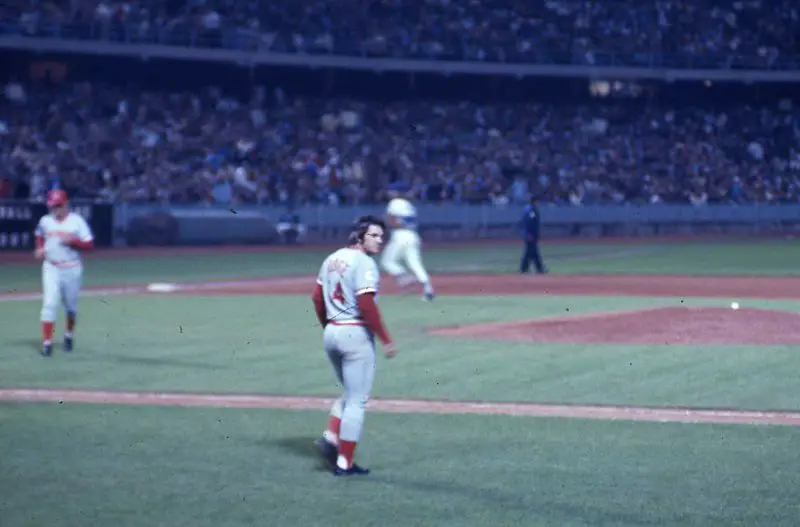 File:Rose walking onto field.jpg