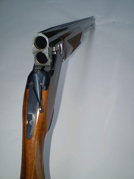 File:Shotgun-rearview.jpg