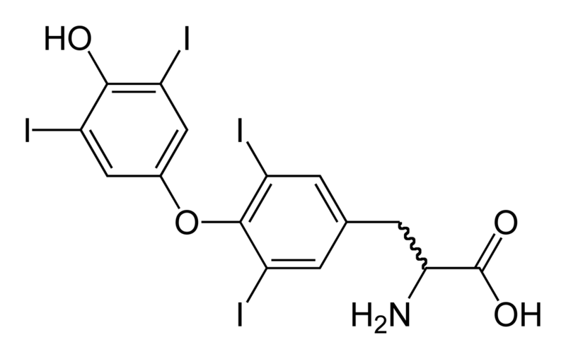 File:Thyroxine-2D-skeletal.png