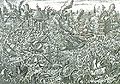 Thumbnail for version as of 23:53, 15 November 2007