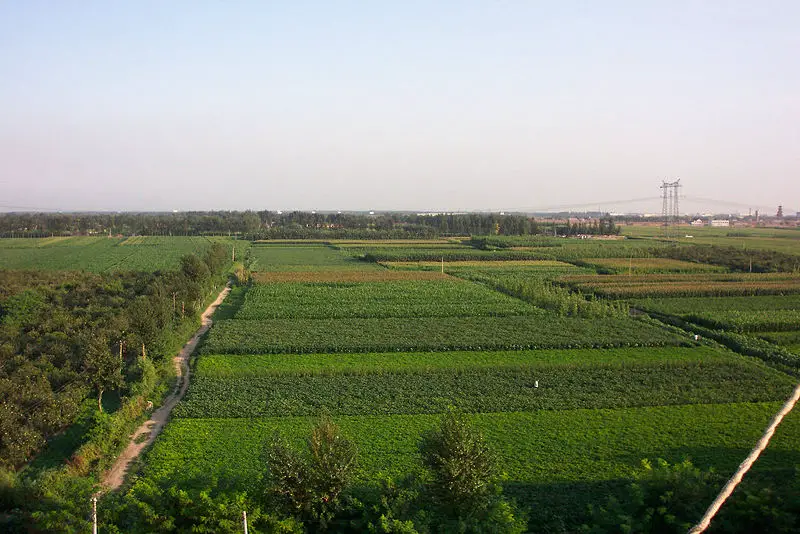 File:Chinafarmland.jpg